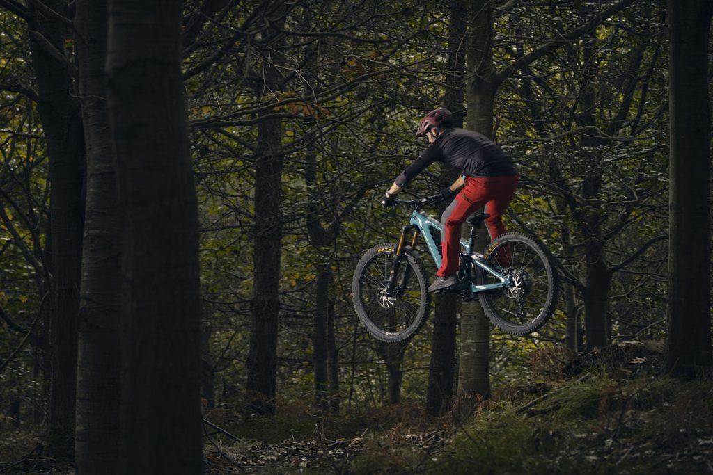 _DSF4009-yety