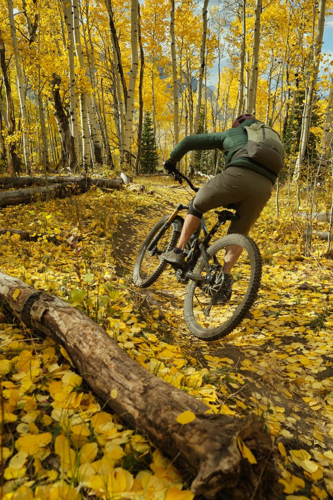 crested butte 105