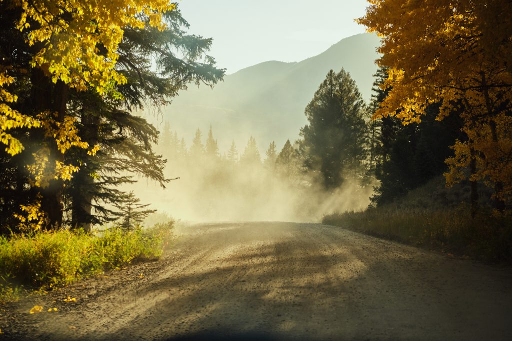 crested butte 176