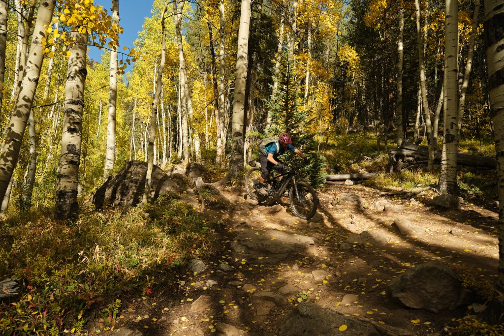 crested butte 260