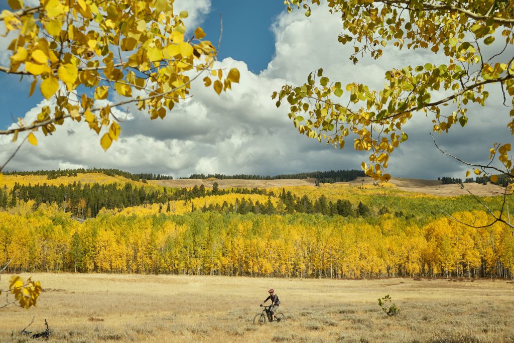 crested-butte-96